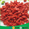 2016 vente chaude USDA bio certifiée goji berry